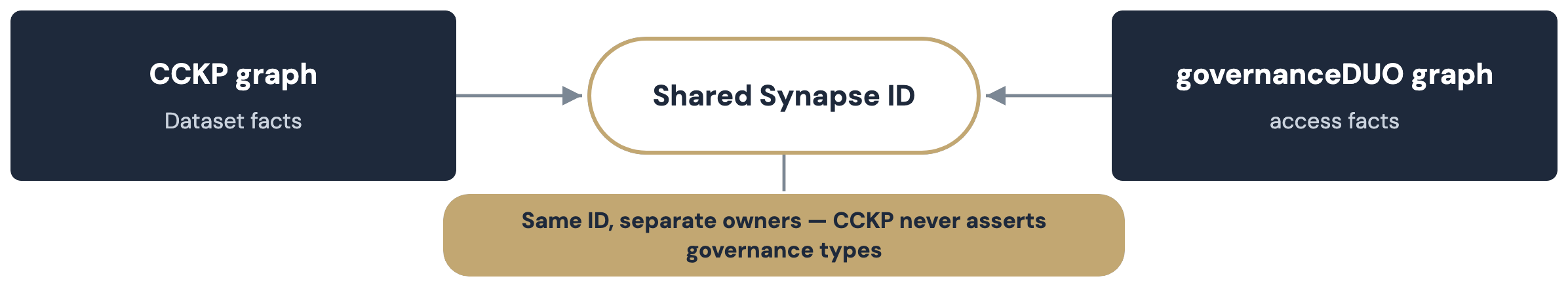 The shared syn: IRI joining a cckp:Dataset node and governanceDUO's closed gov:SynapseEntity shape in the same Neptune store, with no shared rdf:type.